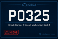 P0325 CODE
