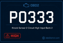 P0333 Code