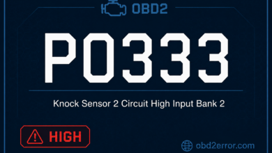 P0333 Code
